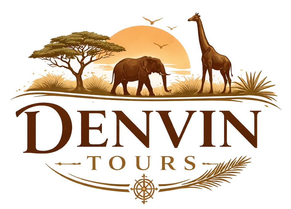 DenVin Tours & Safaris Logo
